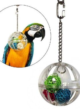 Parrot Chew Toy Hanging Foraging Ball with Balls Inside