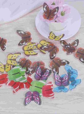 Eatable Food Decoration Wafer Paper Butterflies for