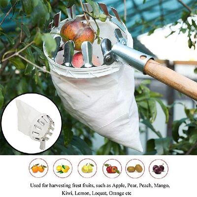 Fruit Picker Head Basket Portable Fruits Catcher Citrus