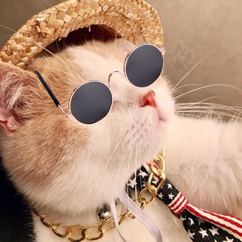 4 Pcs Cool Pet Dog Cat Costume Fashion Sunglasses Chain