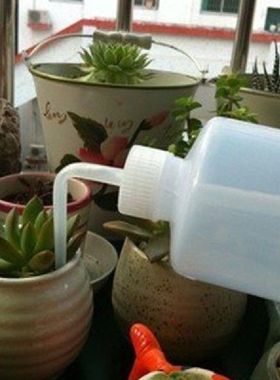 250mL Water Beak Pouring Kettle Tool Succulents Plant
