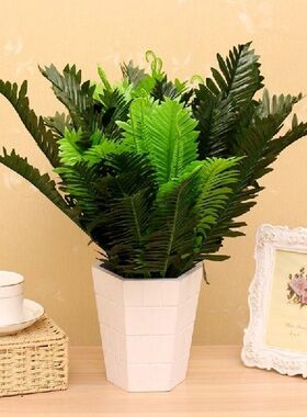 1 Ikat 18 Kepala Buatan Sutra Tanaman Cycas Pohon Palem