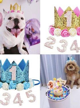 High Quality Pet Cat Dog Birthday Party Hat One to Five