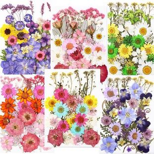 UV Resin Natural Flower Stickers 1 Pack Dried Flowers Dry