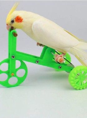 Funny Parrot Bike Toy Birds Training Plaything Supplies