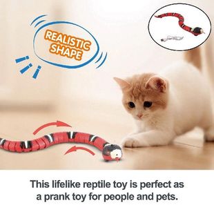 3D Cats Snake Toy USB Moving Kitten Puppy Interactive Kids