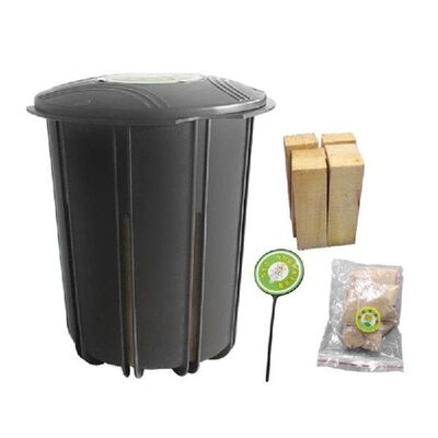 13MA Termite Bait Box Killer Trapper White Ant Attracting