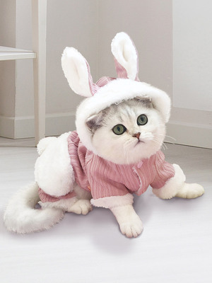 Cat Clothes Kittens Kitten Pet Anti-Lint Cute Ragdoll Cat