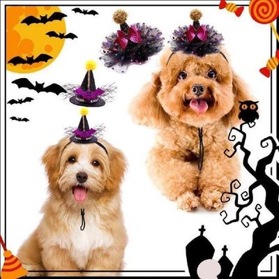 Excellent Pumpkin Wizard Pet Hat Costume Photography Prop