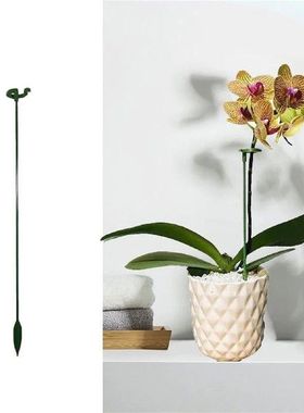 10Pcs Garden Bonsai Support Stake Stander Single Stem Shrub