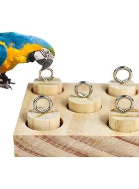 Mainan Edukasi Hewan Peliharaan Pasokan Puzzle Burung Blok