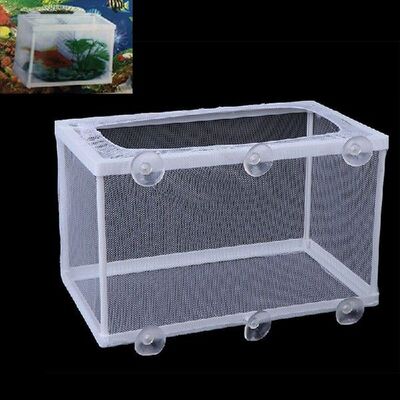 Aquarium Fish Hatchery Breeding Box With Suction Cups Fish