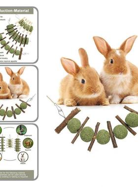 Rabbit Toys Chinchilla Toy Pet Teeth Grinding Toys For