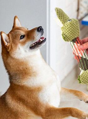 Safe Green Crocodile Plush Knot Pet Toy Pet Sounding Toy