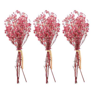 Flower Bouquet Dried Breath Gypsophila Flowers Wedding
