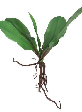 Orchid Leaves Artificial Phalaenopsis Stems Leaf Cymbidium