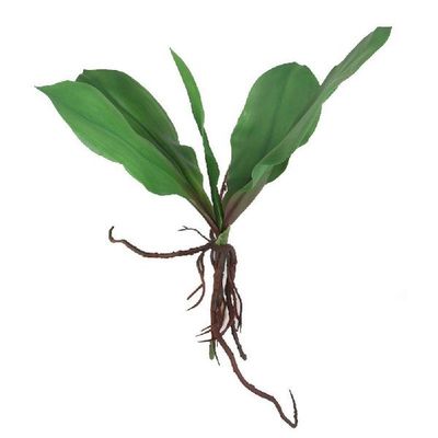 Orchid Leaves Artificial Phalaenopsis Stems Leaf Cymbidium