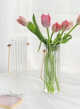Metal Handle Vase Glass Flower Container Artistic Flower Tub