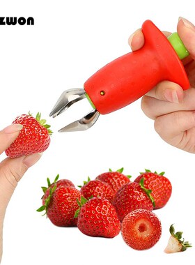 Strawberry Huller Slicer Cherry Pitters Metal Tomato Stalks