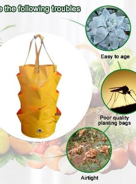 3 Gallon Strawberry Plant Grow Bag Outdoor Tomato Container