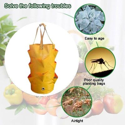 3 Gallon Strawberry Plant Grow Bag Outdoor Tomato Container