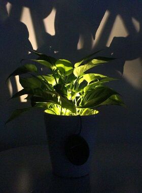 2PCS Solar Garden Lights Outdoor LED Garden Flower Pots