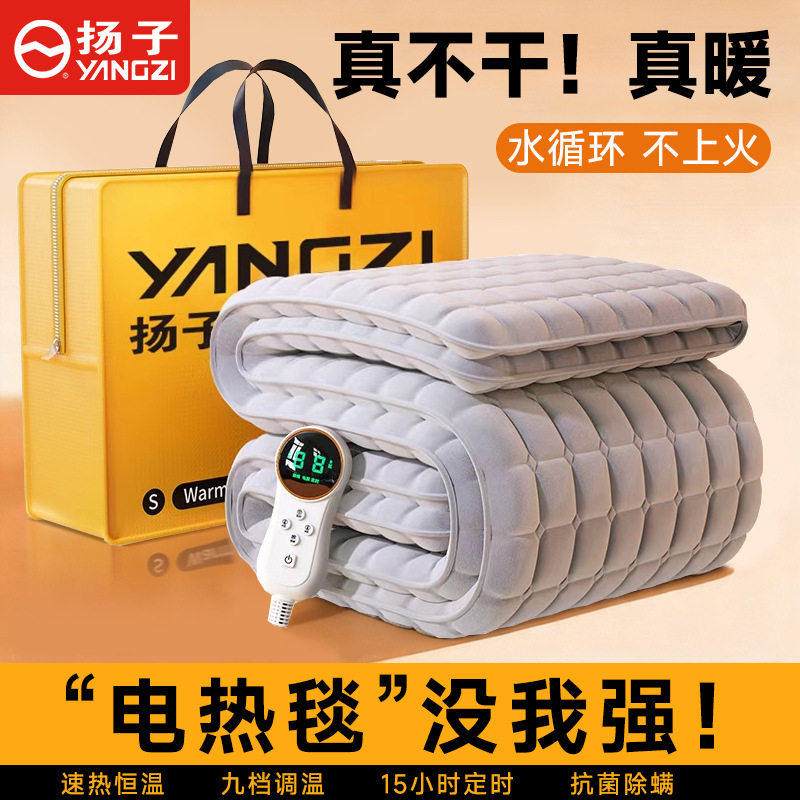 扬子水暖电热毯双人双控