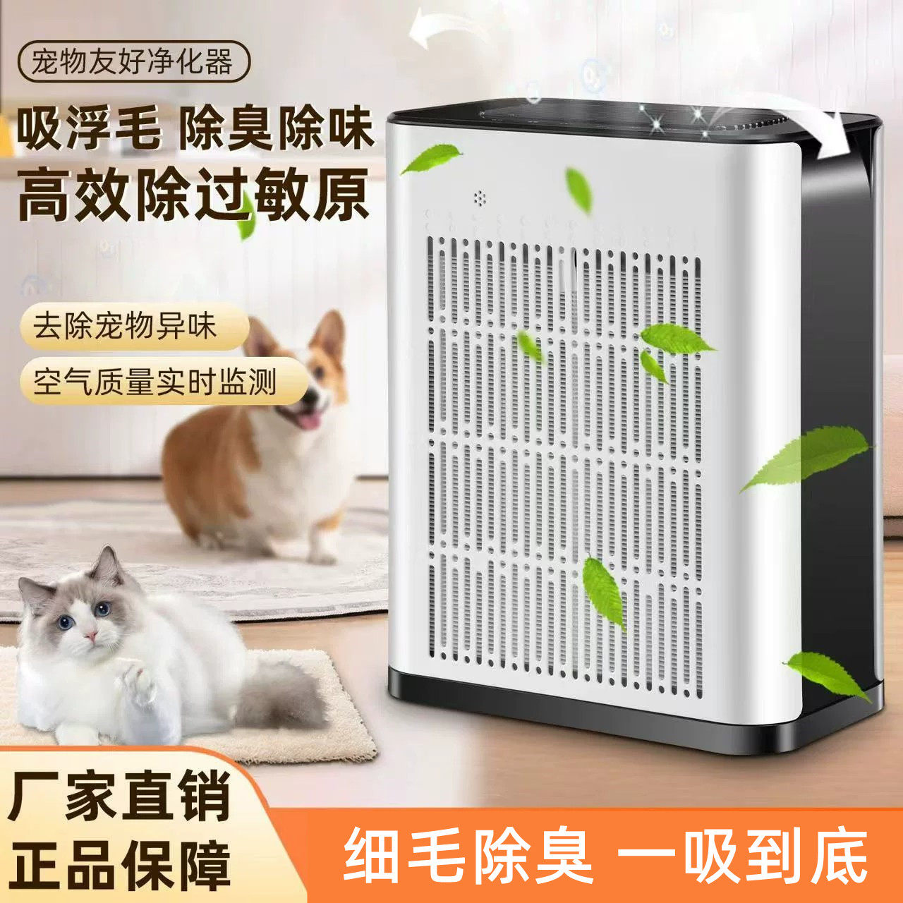 空气净化器宠物除臭去异