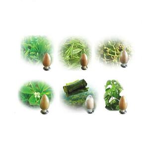 天然末姜ZUF黄提取姜物粉 黄素95 厂%家直销 散装粉末原料 包邮