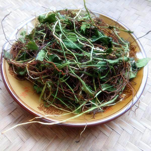 贵州山货一支箭中药材 蛇吐须草药蛇须草蛇咬子瓶儿小草干货全株