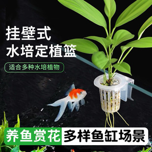 鱼缸漂浮水培器皿壁挂式水培定植篮土栽培定绿植固根器植物定植杯