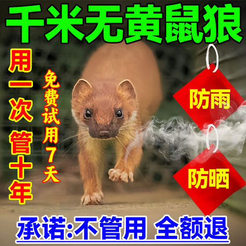 热销榜NO.I驱防黄鼠狼专用药