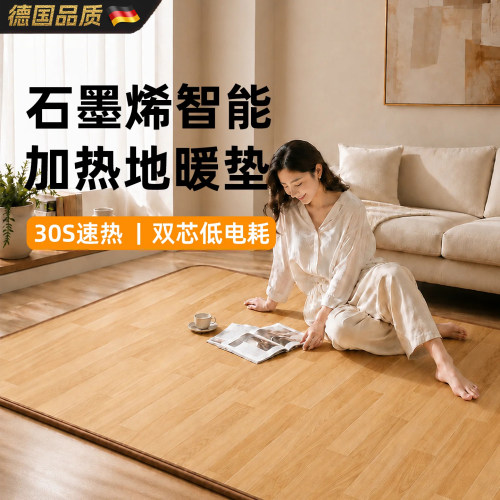 简约冬天地毯石墨烯加热地暖地垫