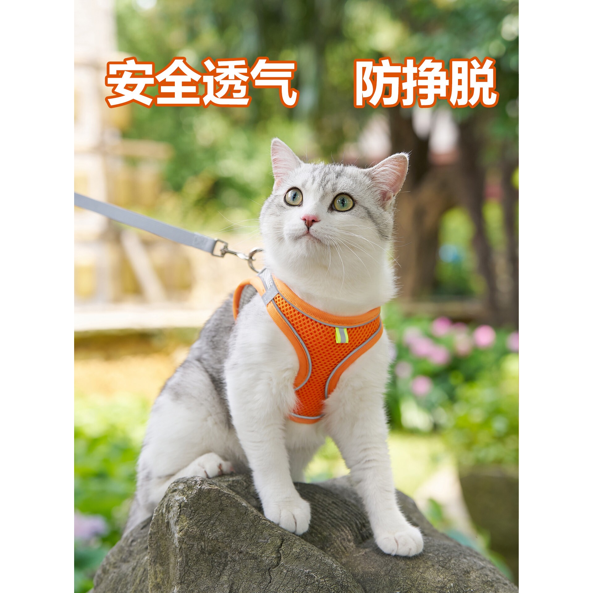 猫咪牵引绳防挣脱不勒脖遛小猫外出专用胸背带背心式宠物溜猫神器