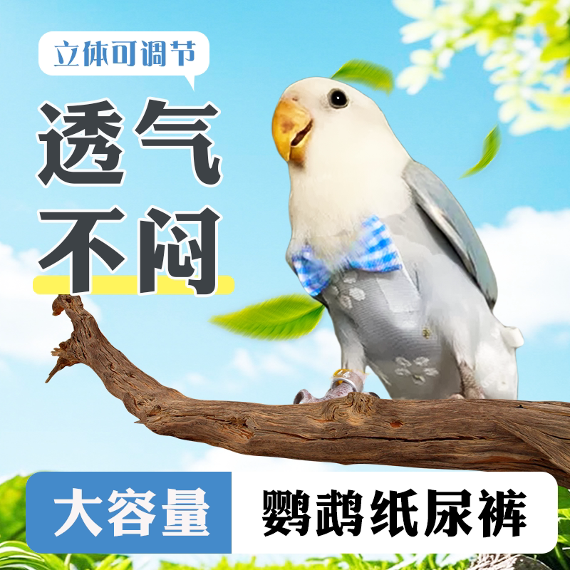 鹦鹉尿不湿衣服立体款大容量屎兜纸尿裤尿布玄凤虎皮外出飞行服
