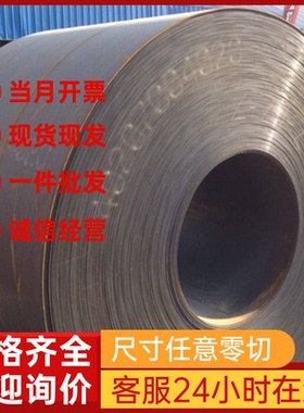 QStE380TM汽车钢板S355MC锌铁合金SAPH310M冷轧板钢卷SPCC棒料