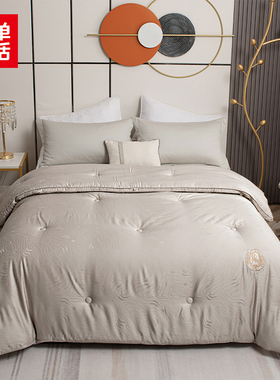 简单生活被芯 澳毛大豆保暖冬被 秋冬加厚保暖2059 200*230 7.8斤