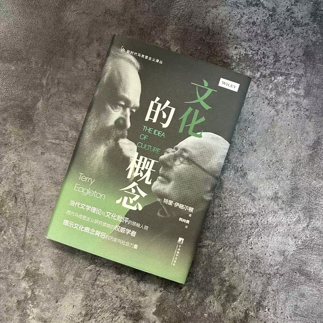 文化的概念 特里·伊格尔顿著 32开 西方马克思主义理论 文化理论 文学批评
