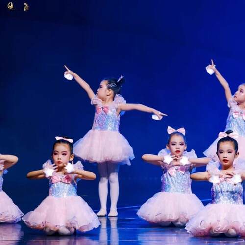 送你一颗小星星舞蹈服幼儿舞蹈蓬蓬纱裙表演服装女童小公主演出服