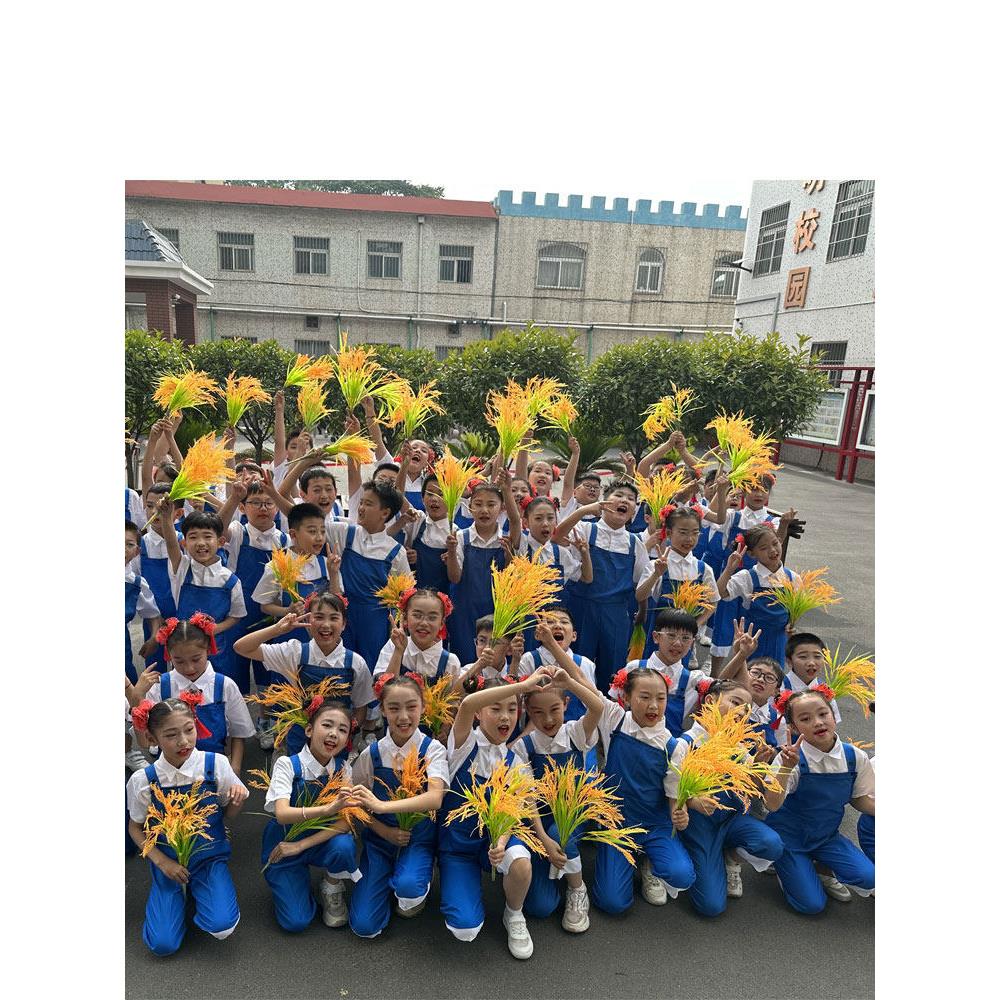 六一劳动光荣表演服稻田里的中国梦舞蹈服禾下乘凉梦儿童演出服