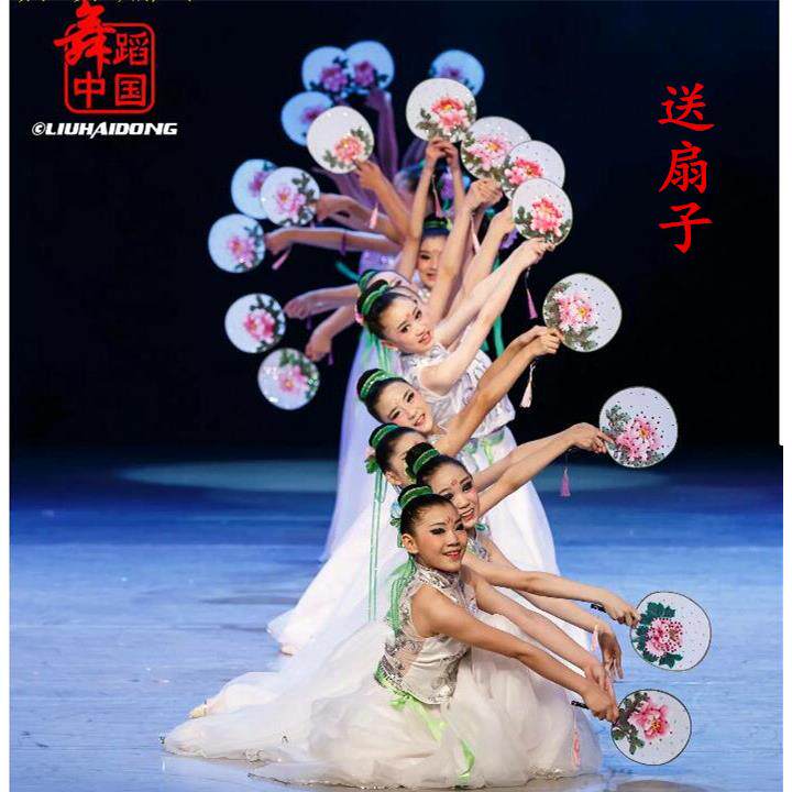 荷花少年踏歌行舞蹈演出服装儿童古典舞扇子舞白纱裙大摆裙演出服