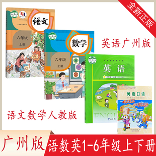 广州小学语文数学英语书16一二三四五六年级上下册人教广州教科版 2024新版 课本教材教科书学生用书一二三四五六年级语数英书上下册