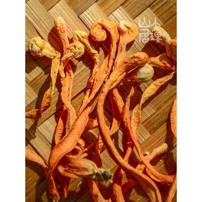大理居金虫虫草花排云南食用菌类大山理特产草花鸡RKT汤虫草花骨