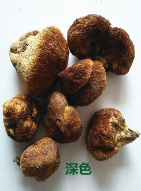 东RQK黑龙江猴头菇干货菌菇山野猴头生菇野山北菌猴蘑头菇粉可装