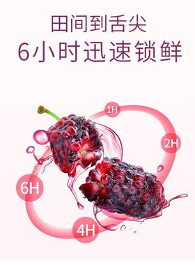 FSKN桑葚原浆汁四川纯榨大果黑桑椹果鲜桑NSG葚原桑浆葚养生滋补