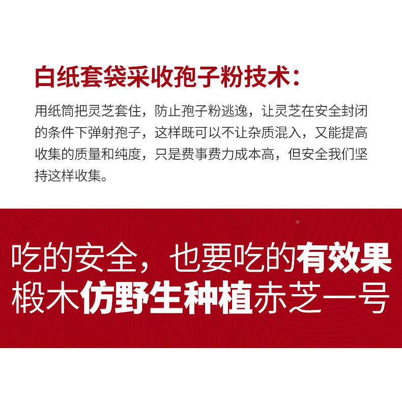 VAX芝王 霍山椴子木仿徽野正生有机赤灵芝林芝孢粉袍子粉250g品