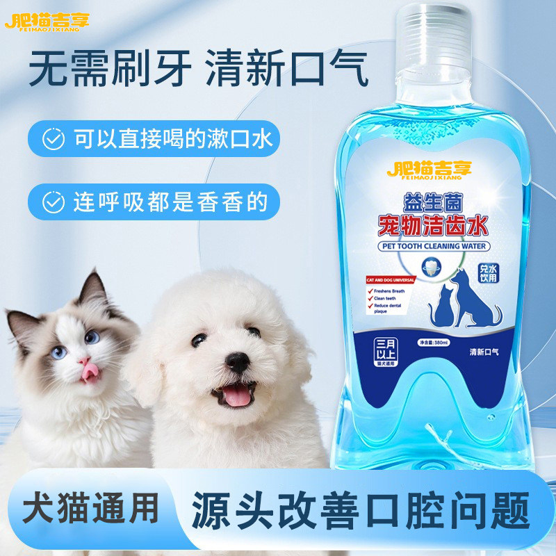 肥猫吉享洁齿水旗舰店猫狗除异味口臭牙结石可食用漱口水口腔清洁,宠物/宠物食品及用品,猫口腔清洁,淘宝优惠券,粉丝福利购,淘宝优惠卷