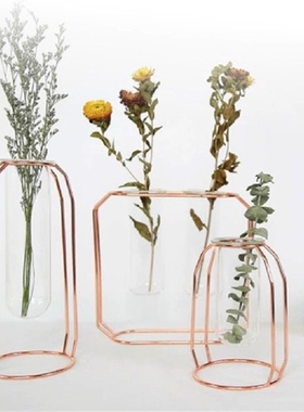 Vas Kaca Gaya Negara Nordik Vas Bunga Tanaman Hidroponik