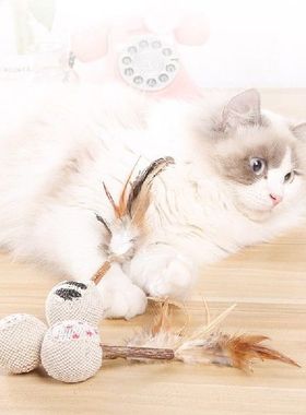 Cat Catnip Toy Feather Cat Wand Toy Silvervine Teeth