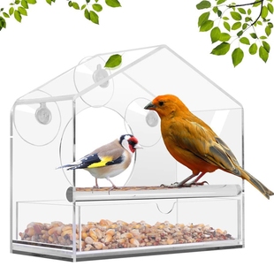 Bird Feeder Acrylic Transparent Outdoor Window Birdfeeder Tr